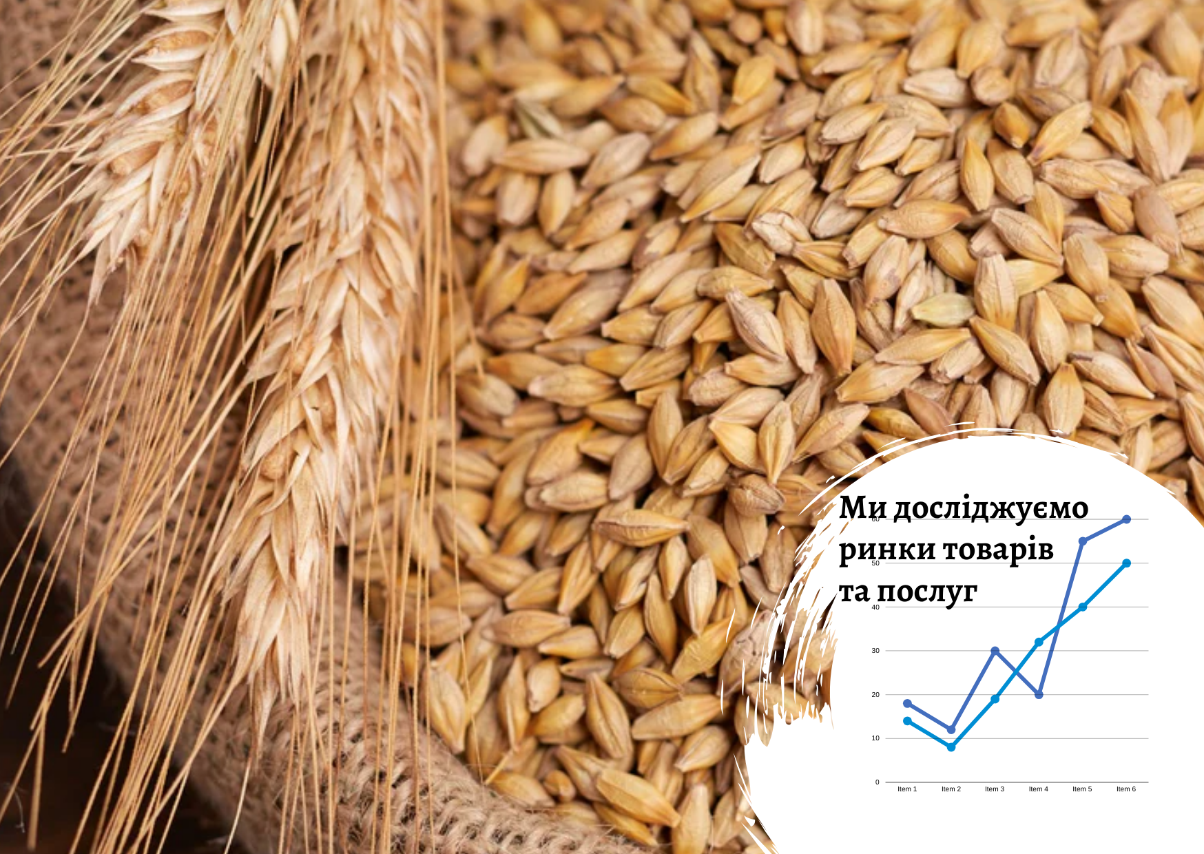 Ukrainian grain market: 50% of exports go to the European Union